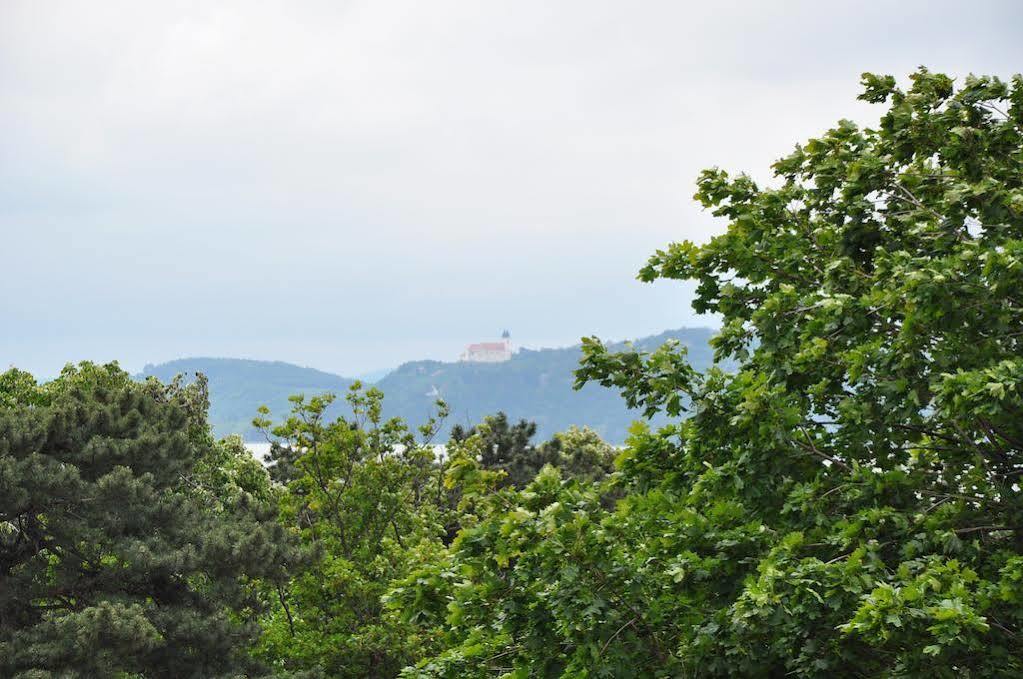 Villa Muzsa Deluxe Balatonfüred Εξωτερικό φωτογραφία